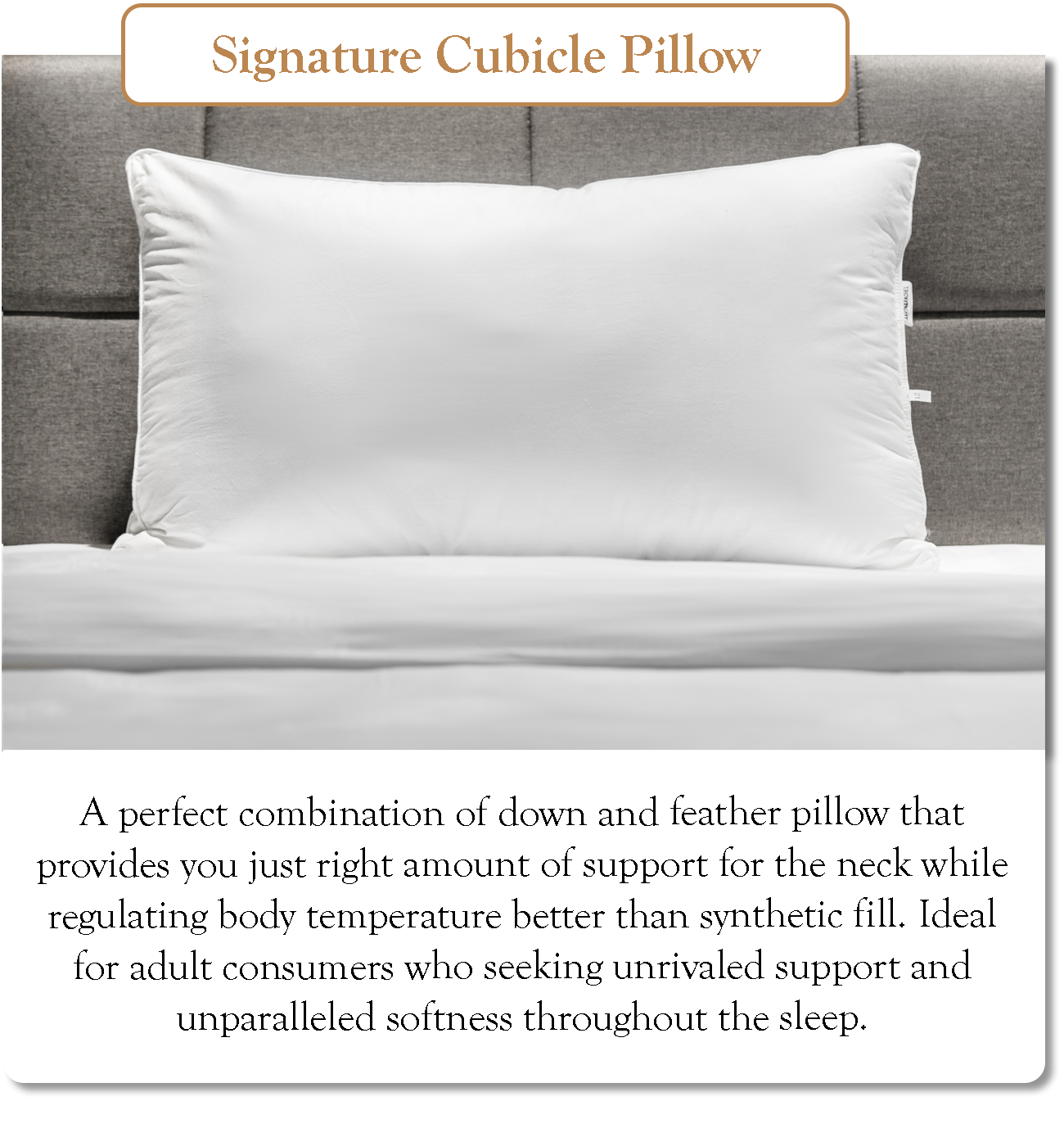 Signature Cubicle Pillow